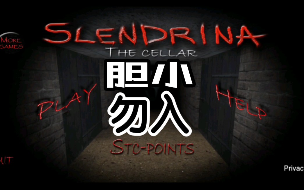 [图]Slendrina the Cellar（兰德里纳河的地下室）#1