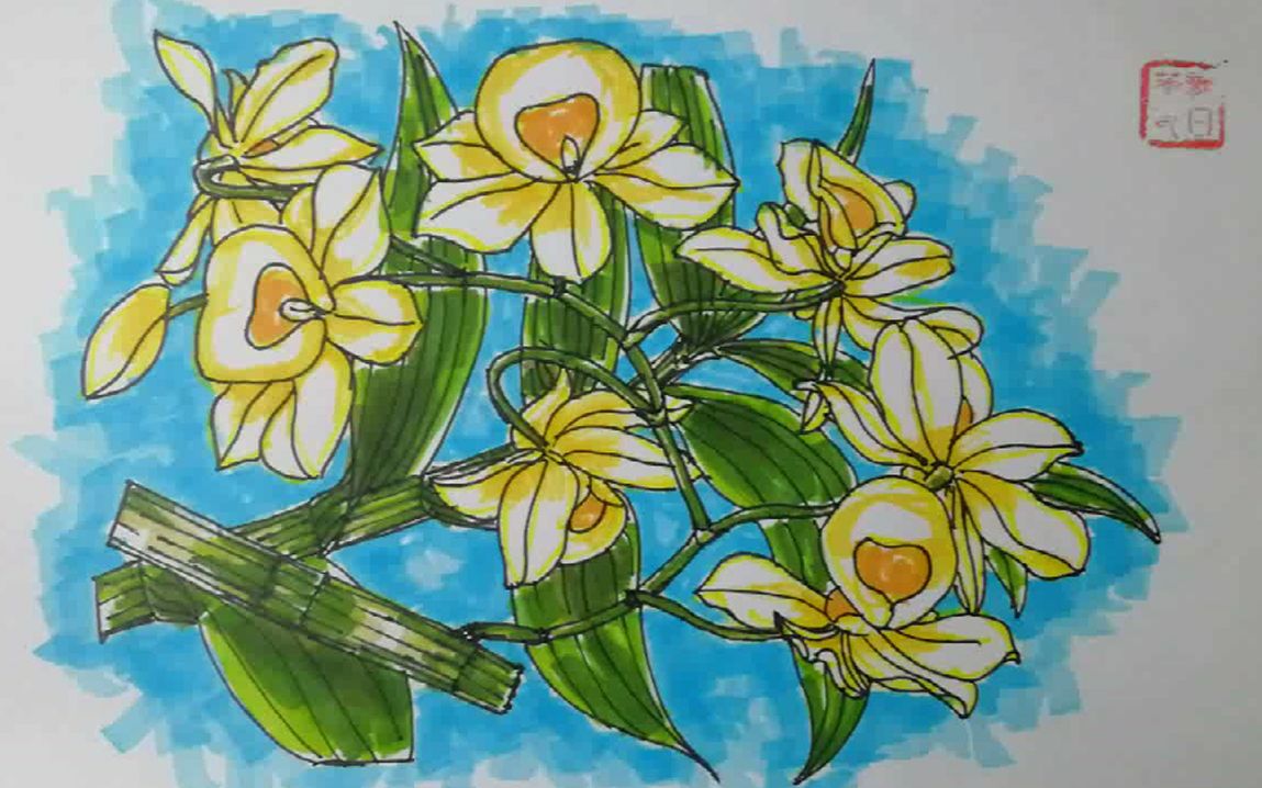 原创马克笔手绘石斛插画,挺精美的
