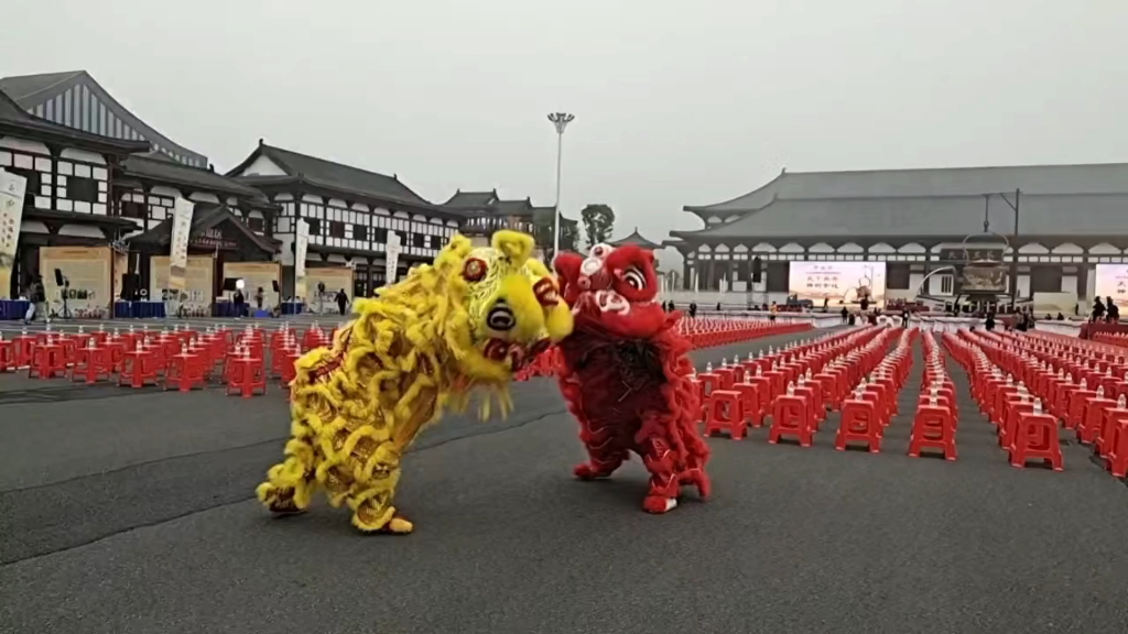 湛江舞狮表演1512333.2322锣鼓队开业舞狮醒狮舞龙寿宴乔迁年会周年庆接亲花轿舞狮舞龙醒狮哔哩哔哩bilibili