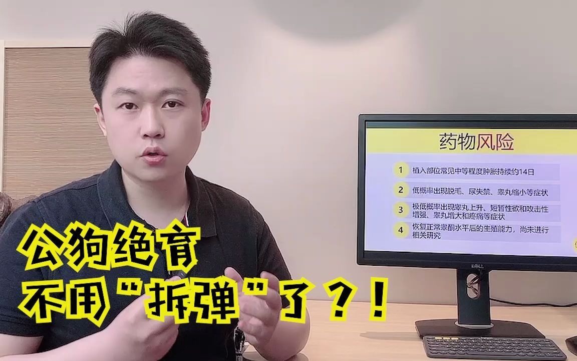 公狗绝育不用“拆弹”了?!哔哩哔哩bilibili