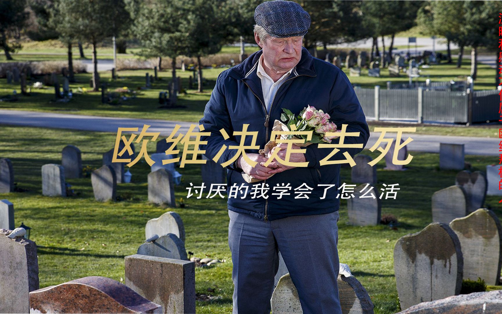 《一个叫欧维的男人决定去死》解说全