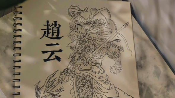 "七进七出岂惜死,唯护幼主报君恩"#赵云 #手绘临摹