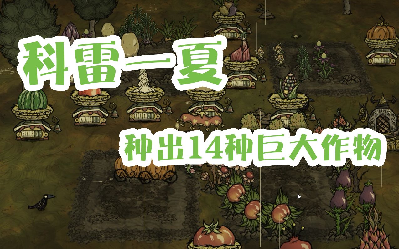 [图][科雷一夏]植物人15天种出14种巨大作物！