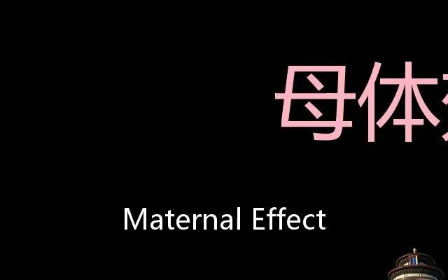 [图]母体效应 Chinese Pronunciation Maternal effect