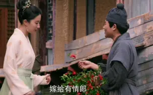 Download Video: 原来石榴花是用来求婚的！