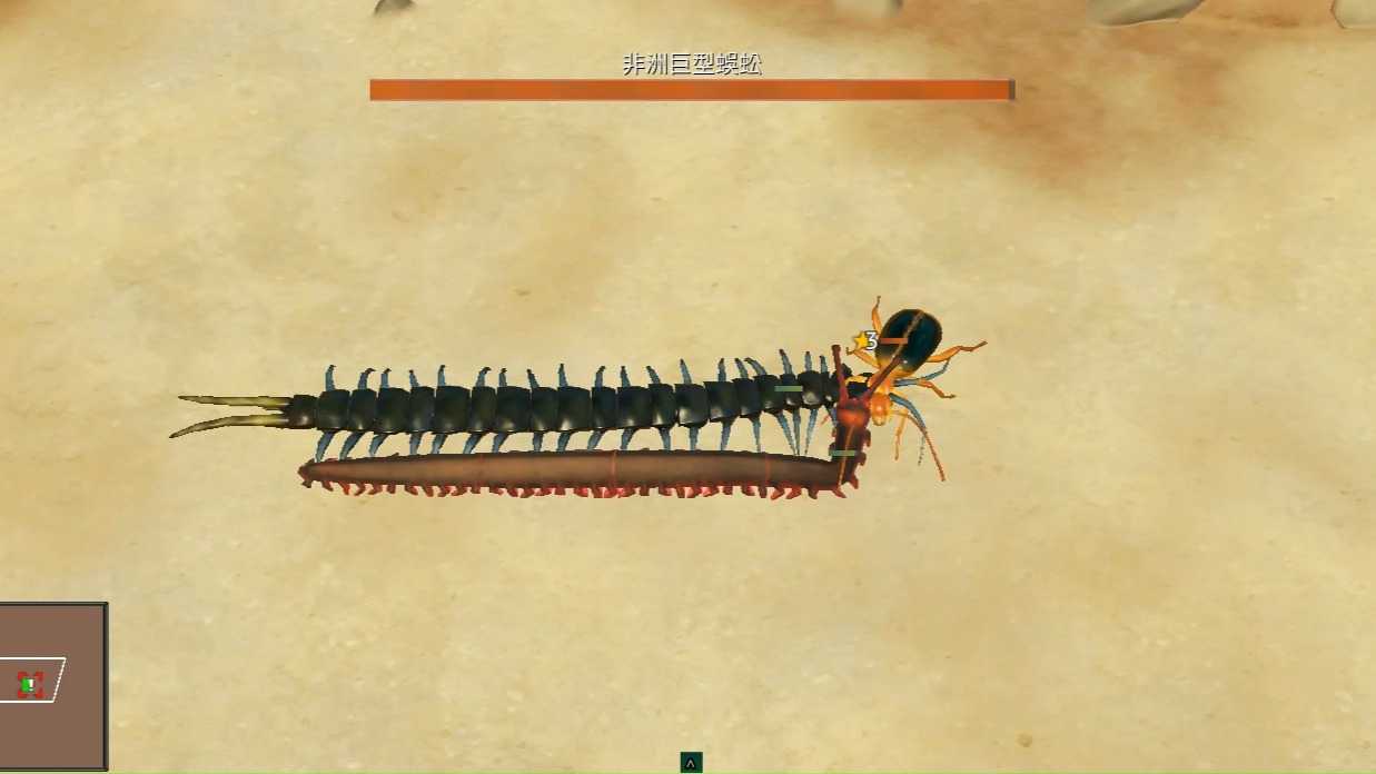 【地下蚁国】天鹅绒虫和非洲巨型蜈蚣对战气步甲