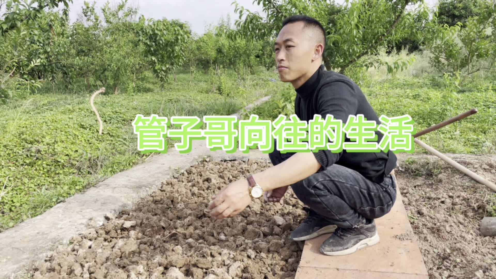 管子哥向往的生活,在田间里面种上自己喜欢的蔬菜!哔哩哔哩bilibili