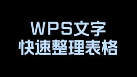 WPS文字系统_哔哩哔哩(゜-゜)つロ干杯~-bilibili
