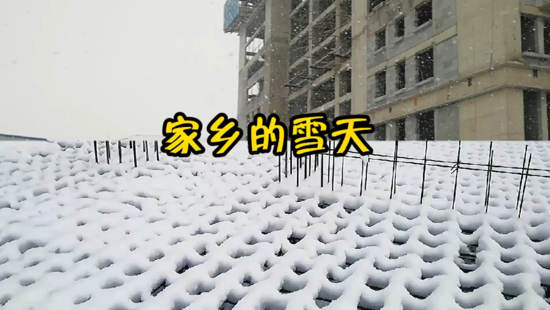 [图]老家安阳，下雪了，有10好几公分厚呢。你喜欢吗？