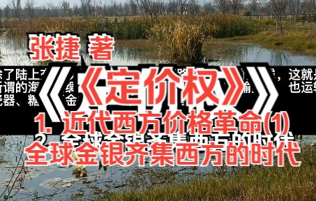 《定价权》(张捷 著)1. 近代西方价格革命(1)——全球金银齐集西方的时代哔哩哔哩bilibili