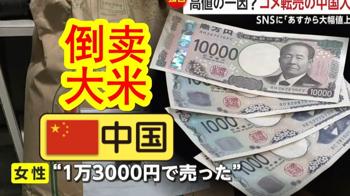 【中日双语】中国网络频现倒卖日本大米的帖子,日本节目组直击采访中国女子.在日本倒卖大米是否涉嫌违法?日本专家「目前相关法律尚不完善」哔哩...