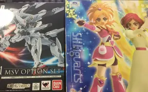 下载视频: 平一的开箱时间【01】F91 MSV武器包&S.H.F光之美少女SS二哥和满套装