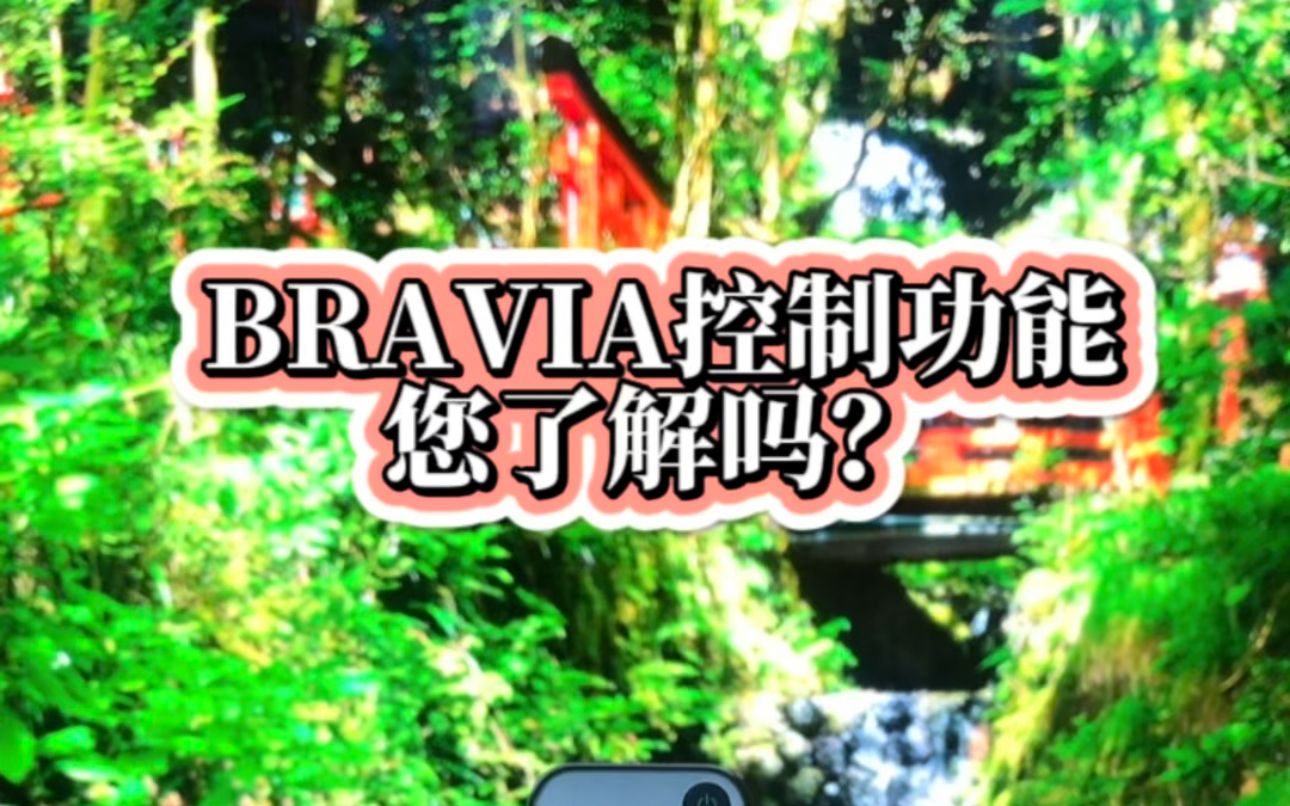 BRAVIA控制功能 您了解吗?哔哩哔哩bilibili