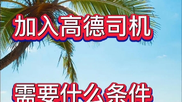 私家车车主不知道如何加入高德司机?高德司机加入需要满足什么条件?哔哩哔哩bilibili