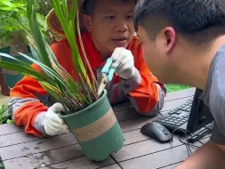 Télécharger la video: 那些不小心被你误杀的花，你中招了吗？