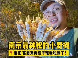 Video herunterladen: 在南京最神秘的小野摊上吃到了宫后夹肉