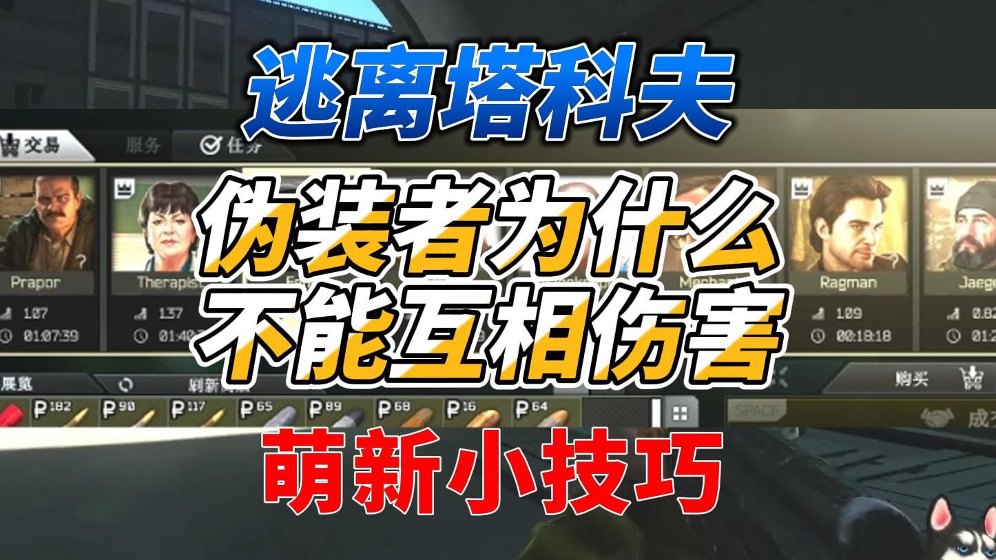 [图]《逃离塔科夫萌新教学》伪装者之间为什么不能互相伤害？