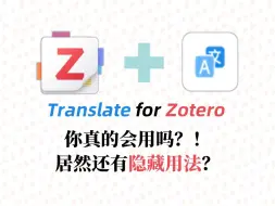 Video herunterladen: 【Zotero7插件】Translate for Zotero