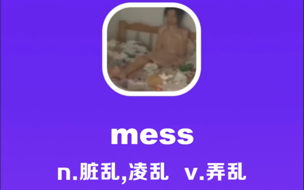 mess:脏乱,凌乱,弄乱哔哩哔哩bilibili