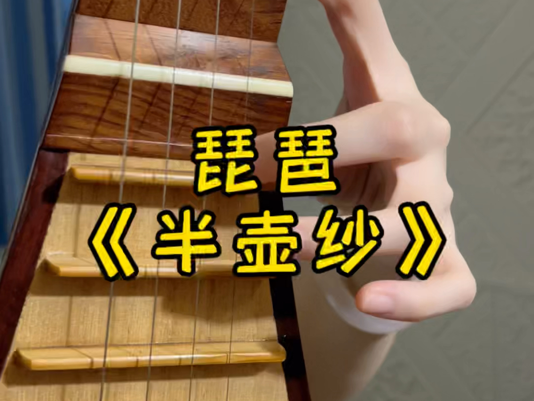 琵琶《半壶纱》倘若我心中的山水 你眼中都看到