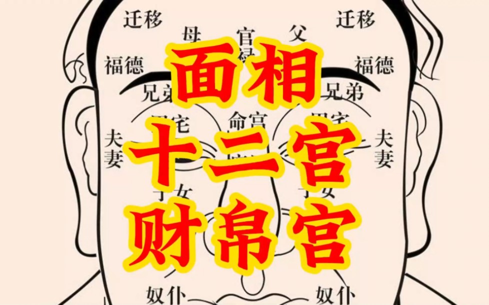 面像十二宫财帛宫