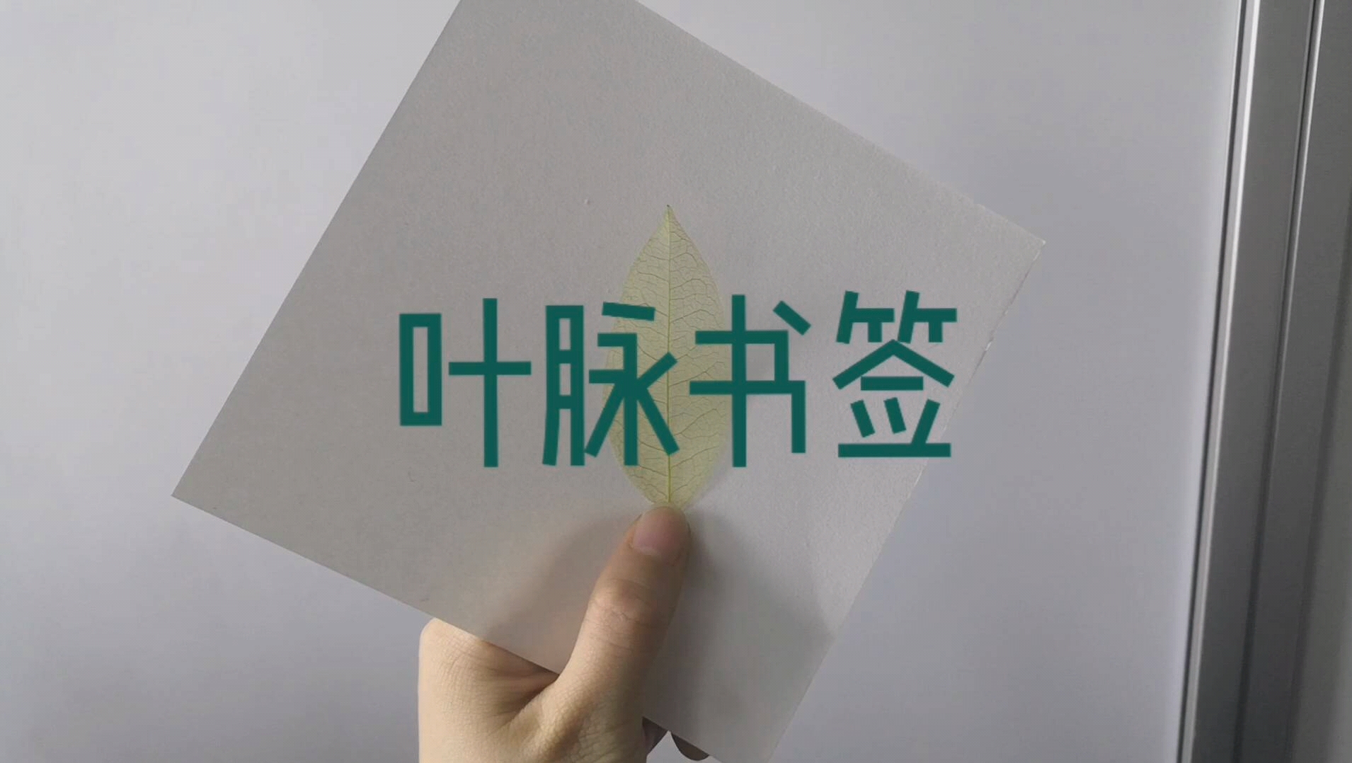 化学小实验叶脉书签的制作哔哩哔哩bilibili