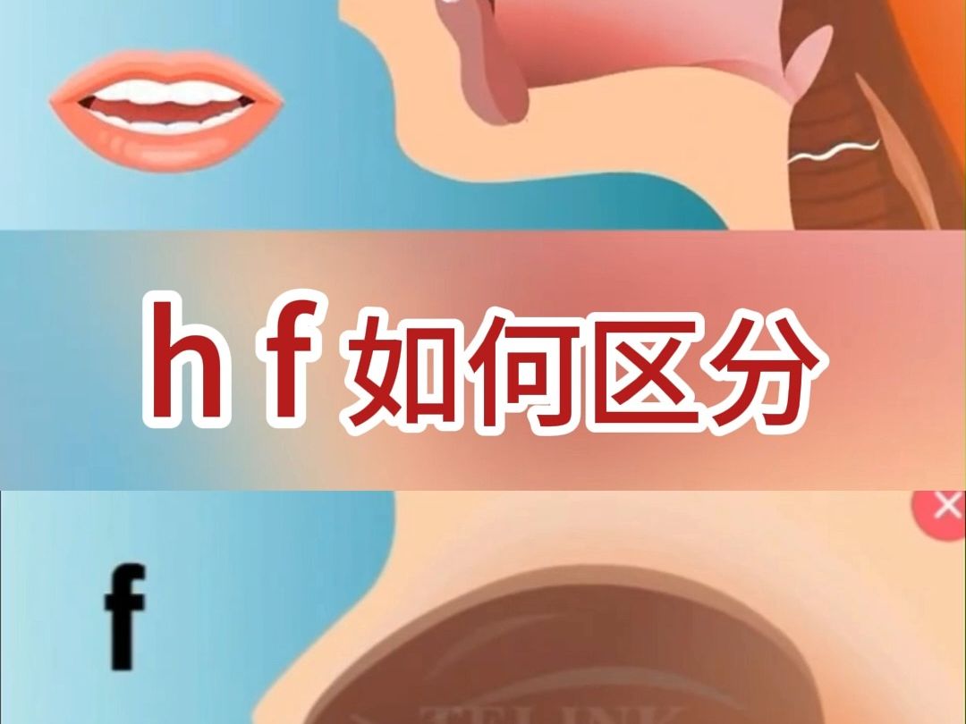 福南人集合了!拼音h f如何区分?哔哩哔哩bilibili