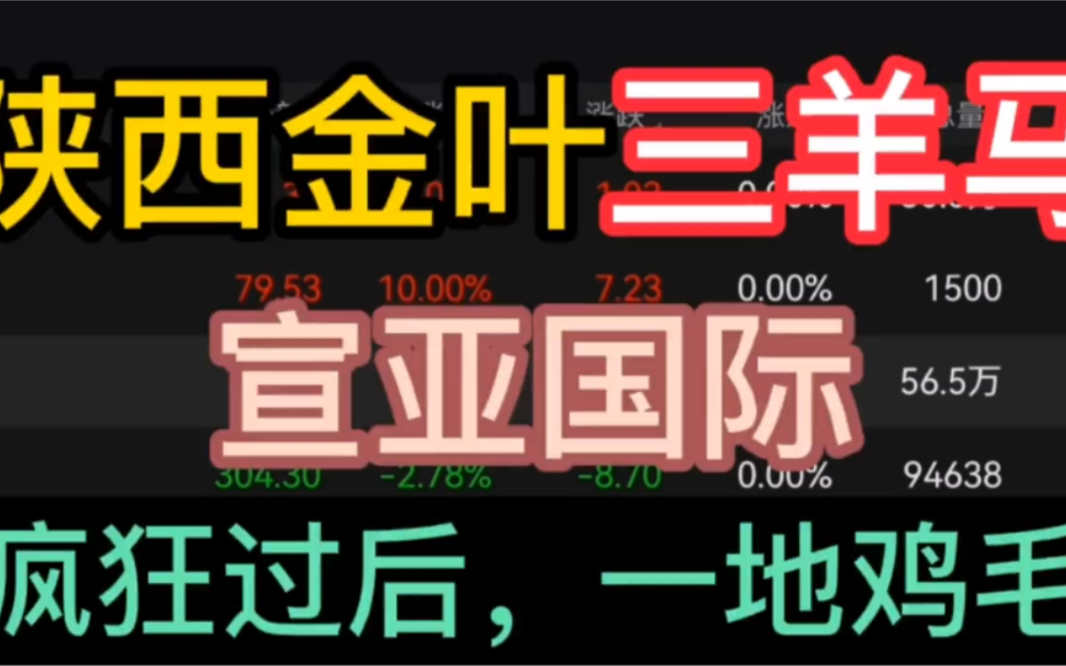 陕西金叶,三羊马,宣亚国际,疯狂过后,一地鸡毛(仅供参考)哔哩哔哩bilibili