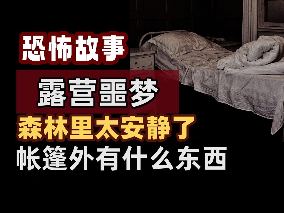 【Reddit怪谈】帐篷里传来爸爸的鼾声,我感觉哪里不对劲.哔哩哔哩bilibili