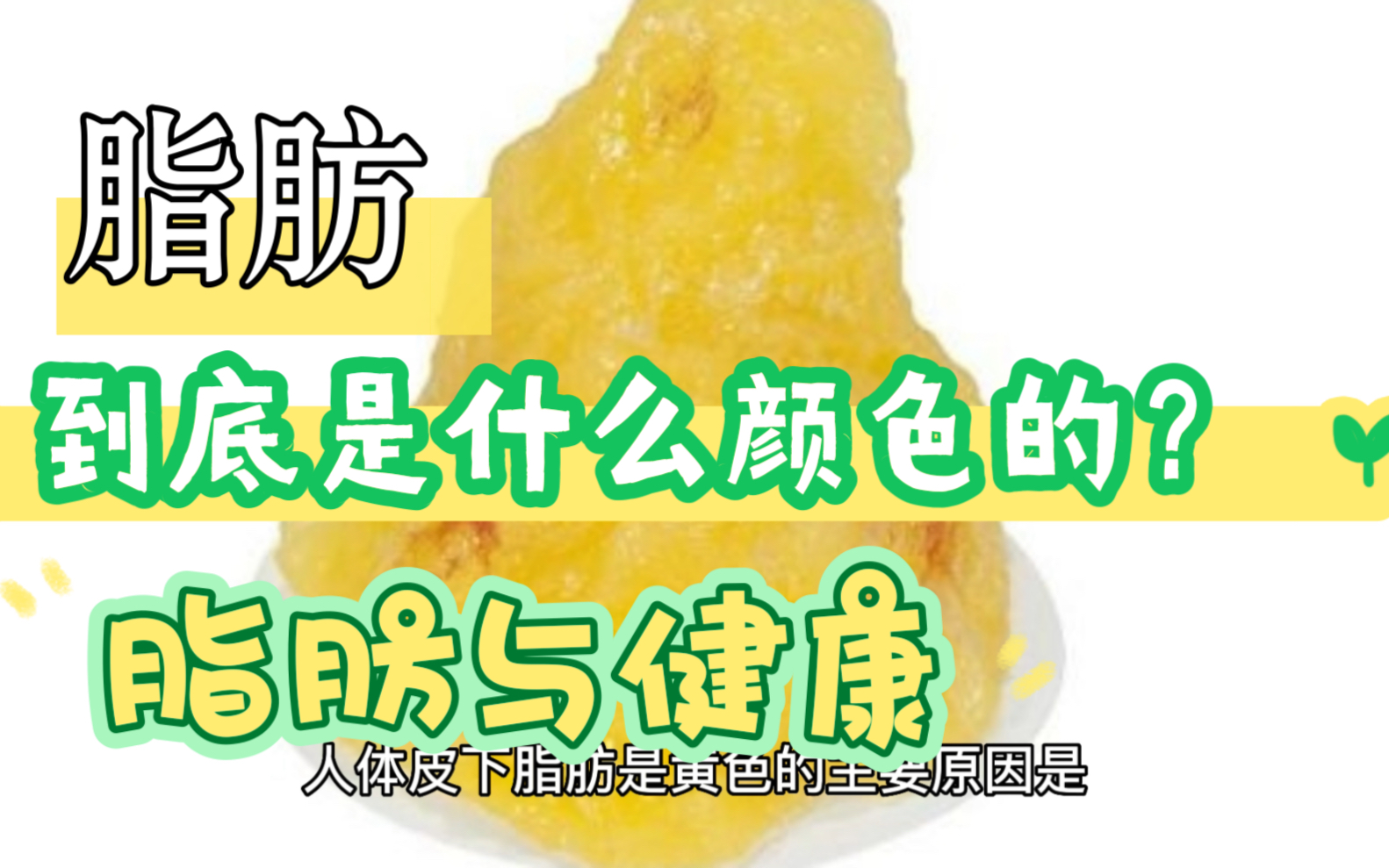 脂肪到底是什么颜色的?脂肪与健康