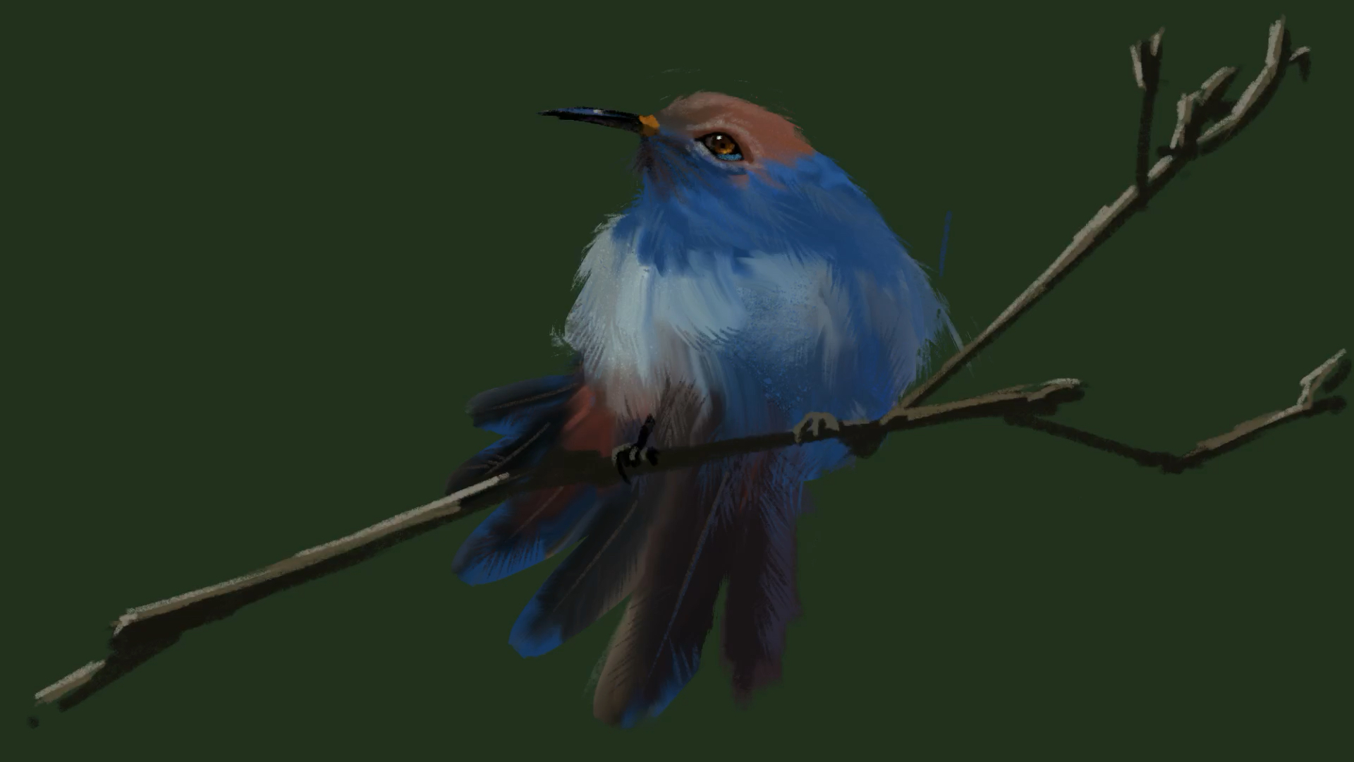 【手机指绘】厚涂练习