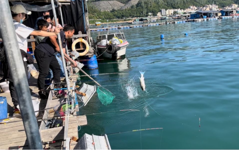 深圳鱼排海钓是种什么体验?钓了一天一夜,看看这鱼获值不值
