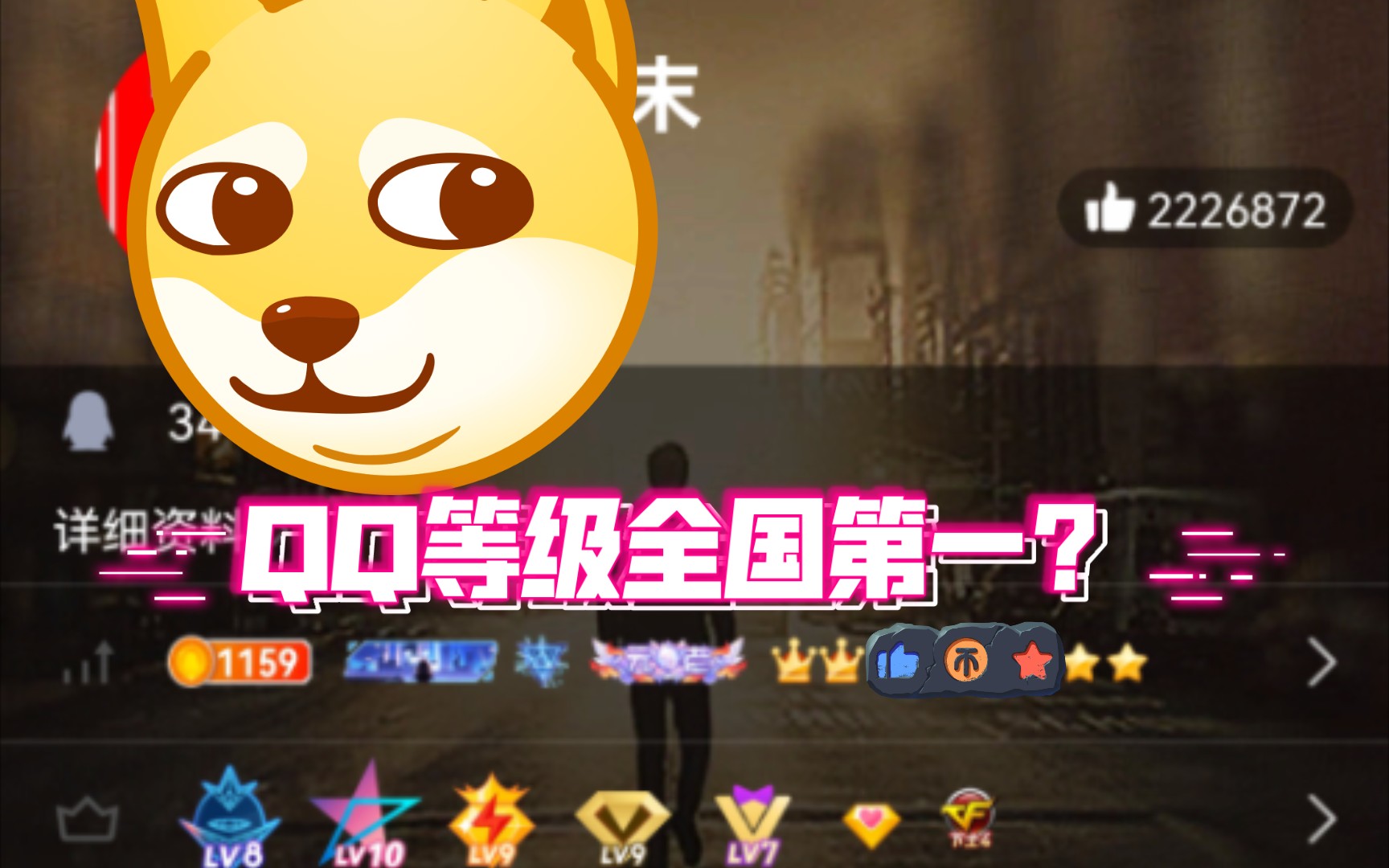 2XX级?全国QQ等级排名第一?哔哩哔哩bilibili