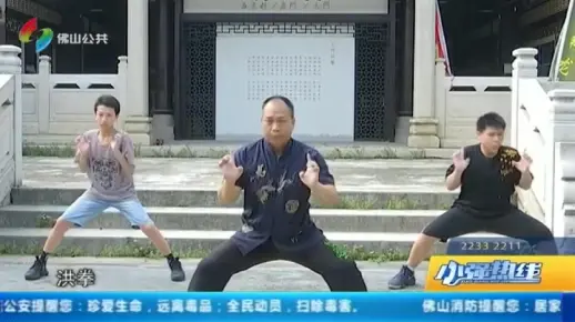 加快建设“世界功夫之城”：梳理源流谱系 守住佛山武术之根（佛山电视台《小强热线》2020.5.26）