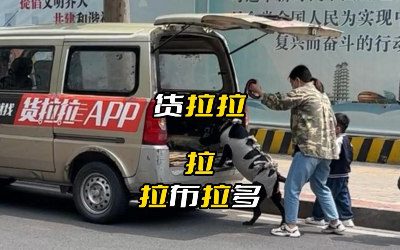 “豪狗”专车 货拉拉 拉不拉 拉布拉多?哔哩哔哩bilibili