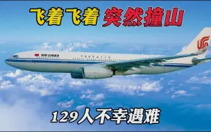 Download Video: 中国客机突然在韩国坠毁 背后的原因 离谱到难以置信 空难纪录片