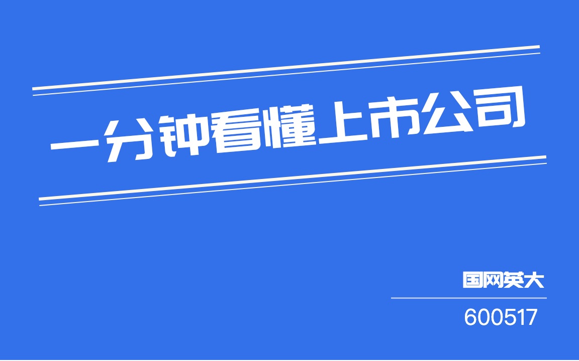 #一分钟看懂上市公司#:国网英大(600517)哔哩哔哩bilibili