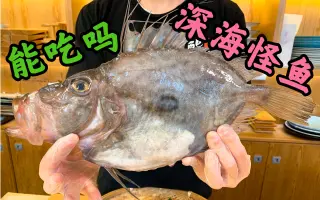 John dory _ 搜索结果_哔哩哔哩_Bilibili