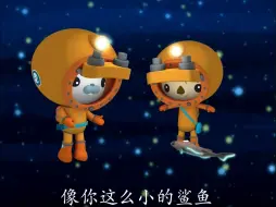 Download Video: 海洋生物们的摩斯密码