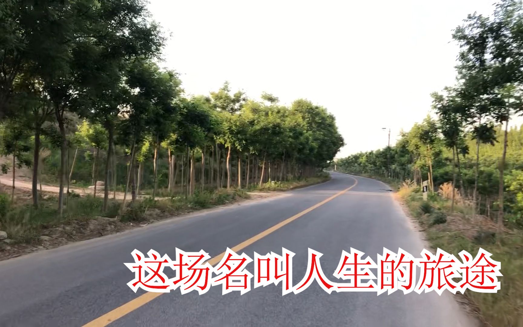 [图]聊城这条公路 人烟稀少 真的非常安静