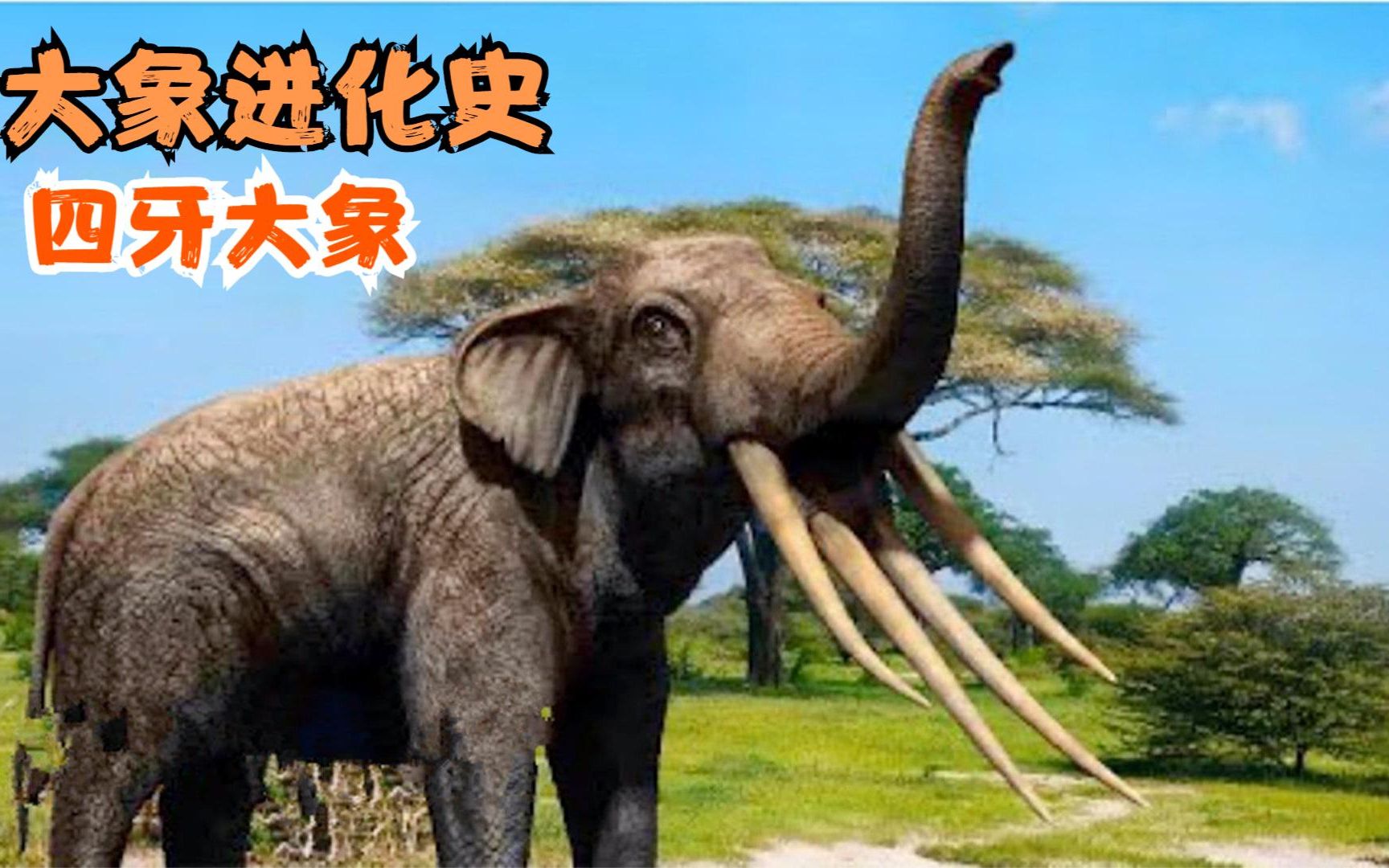 大象的进化史,你见过四只象牙的大象吗?远古大象的下巴像铲子?