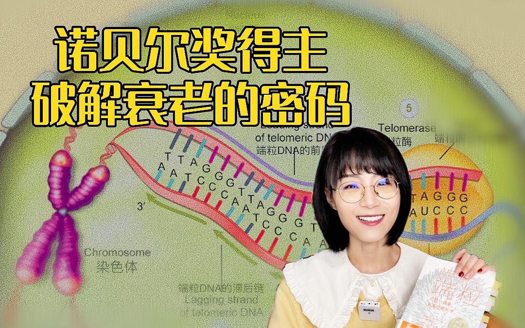 终于找到了延缓衰老的科学依据!尹烨、樊登、万维钢联袂推荐的科普好书哔哩哔哩bilibili