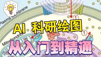 <em class="keyword">科研绘图</em>系列之Ai从入门到精通全集