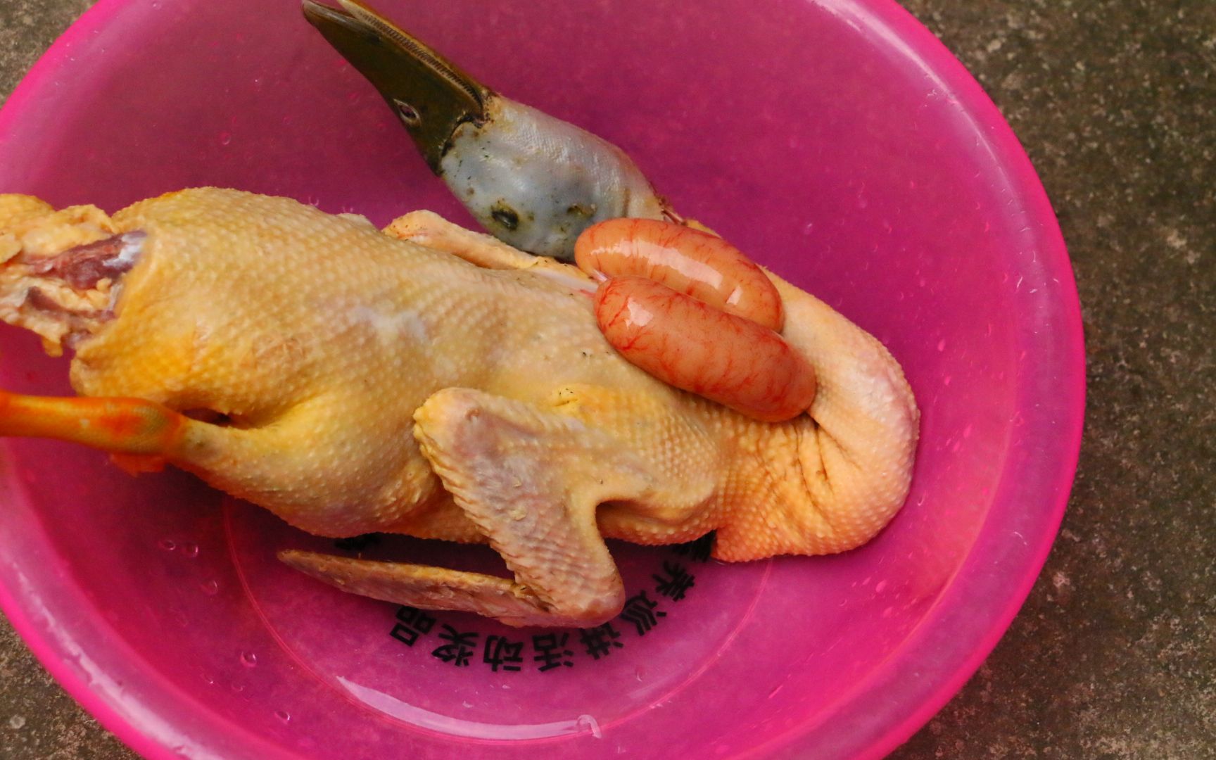 把家里不会下蛋的鸭宰了,简单做一道白切鸭,那味道还不错_哔哩哔哩