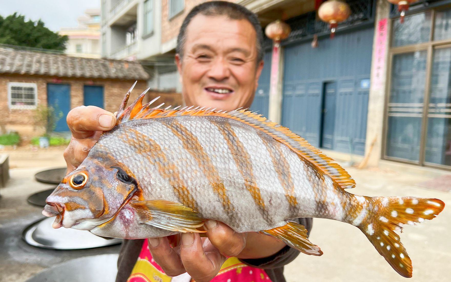 被誉为鱼王的三刀鱼,阿胖山花1160买5条,吃第一口就被惊艳到了