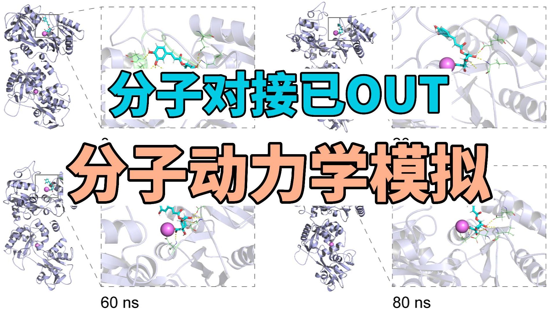 分子动力学模拟网络药理学提升利器哔哩哔哩bilibili