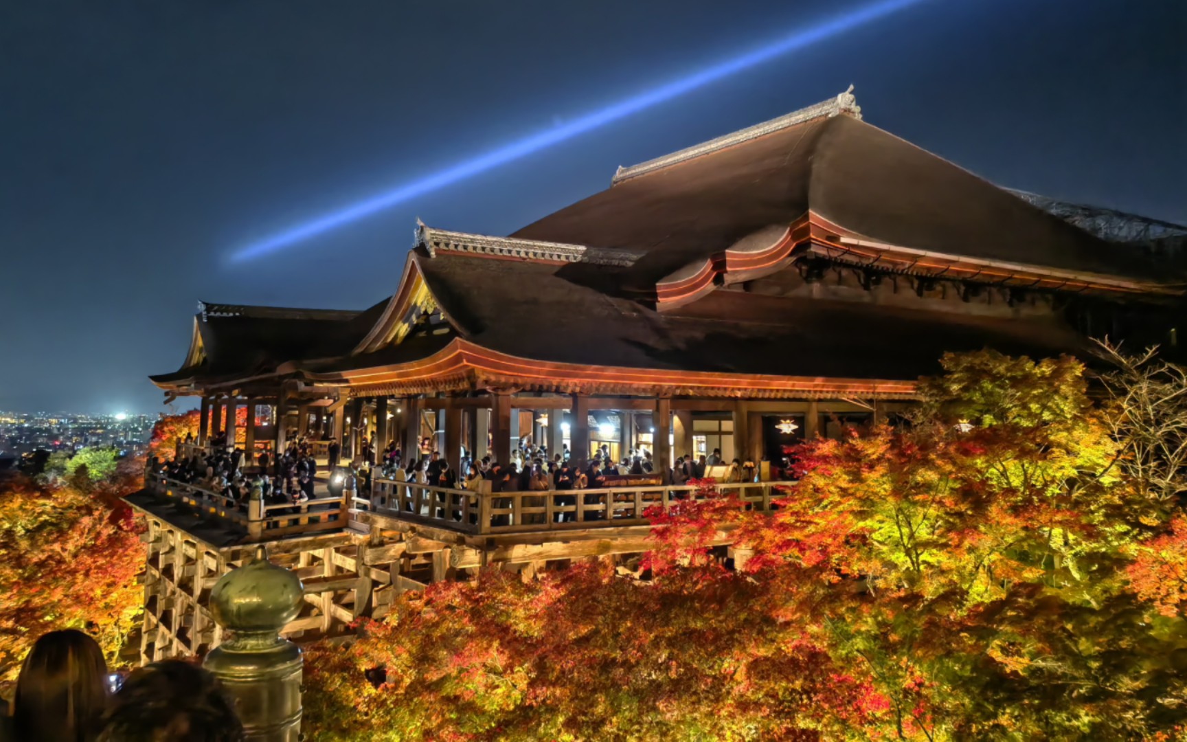 清水寺夜景 红叶季赏夜枫