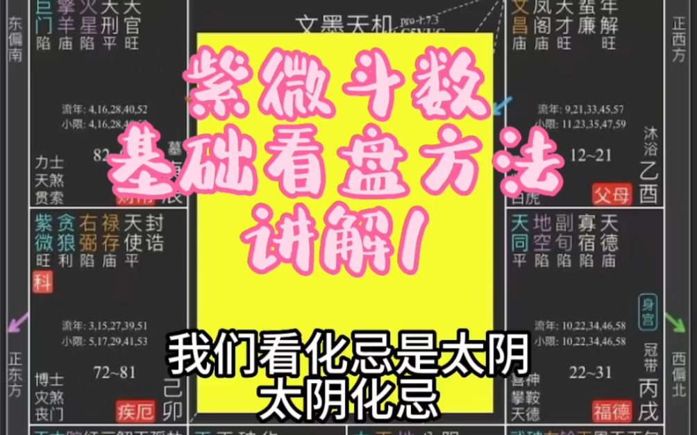 紫微斗数看盘方法讲解教学(一)哔哩哔哩bilibili