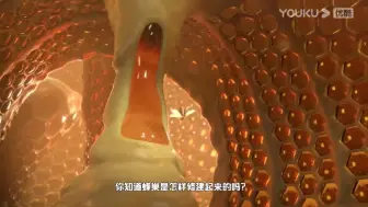 Tải video: 你知道蜜蜂是怎样造蜂巢的吗？一部搞笑动画