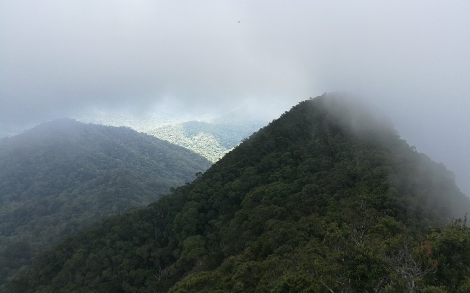 登山│乐东ⷥ𐖥𓰥𒭥“”哩哔哩bilibili